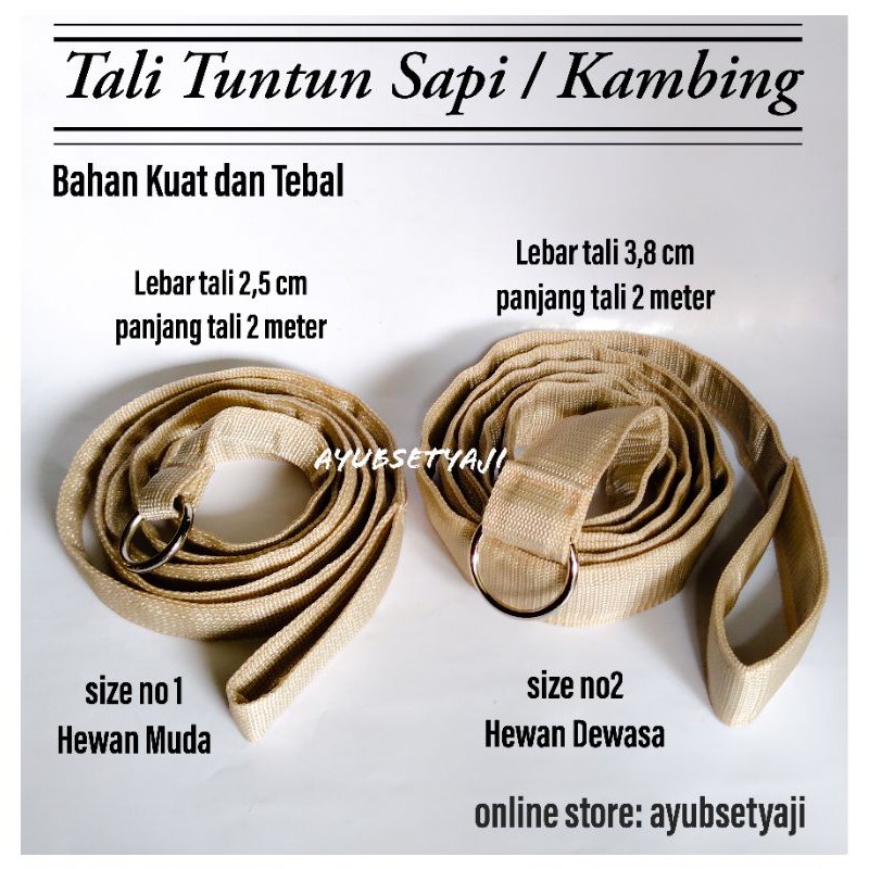 Tali Tuntun Sapi Kambing Hewan Harness Tali tuntun anjing Dewasa Kalung Sapi Brangus head halter kli