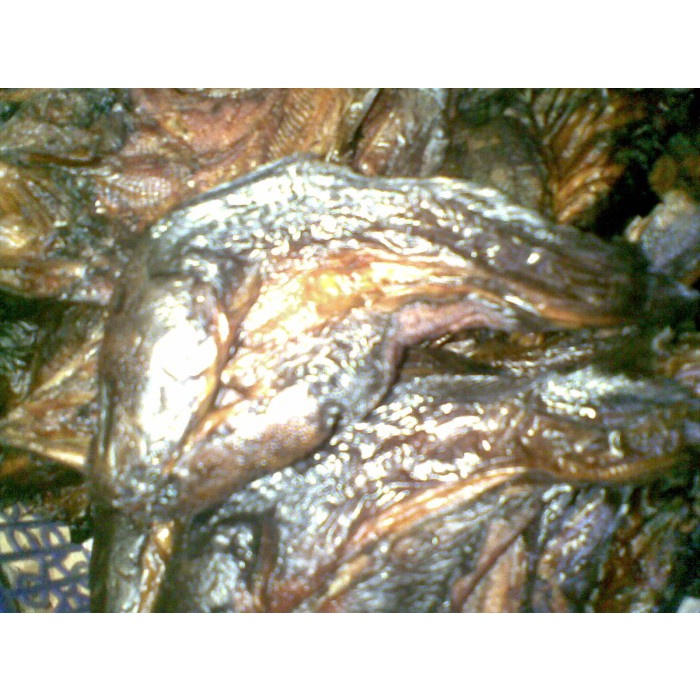 

Ikan Lele Sale / Asap