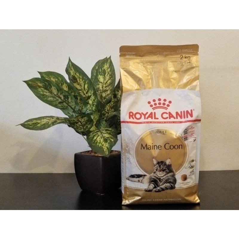 Royal Canin Adult Maine Coon 2 Kg / Makanan Kucing Dewasa Maine Coon 2 Kg
