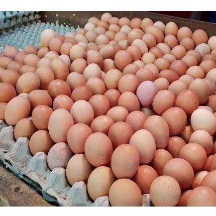 

1kg Telor Ayam Negri SEGAR - Telur Ayam Negeri STOK BARU