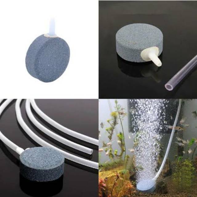 Piring HA Batu Aerator Air Stone 10040 10060 10080