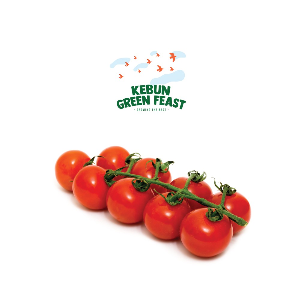 Vine Tomato Hydroponic - Buah red cherry tomato dengan stem / batang