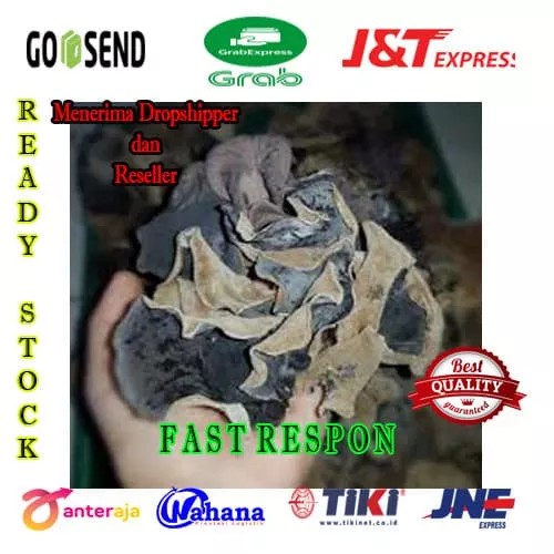 

Jamur Kuping Hitam Kering Quality Premium 1kg / Sekilo