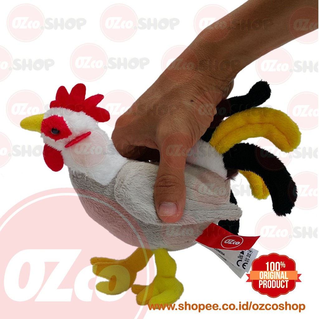 81 Gambar Binatang Lucu Ayam Adu HD Terbaru