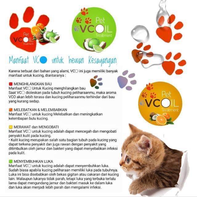 Minyak Vco Untuk Kucing Obat Jamur Skabies Mengobati Luka Pada Kelinci Anjing Hewan Peliharaan Wangi Shopee Indonesia