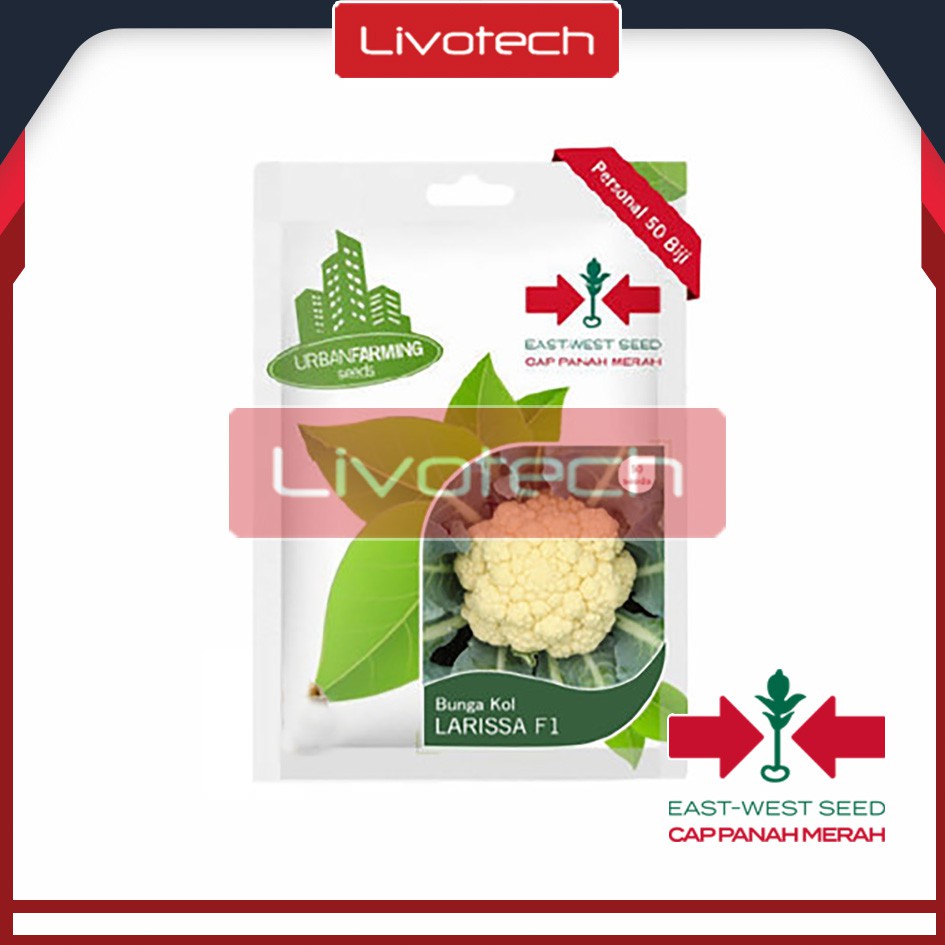 AXONSTORE Panah Merah Benih Bunga Kol Larissa F1 Cap Panah Merah Starter Ori Kembang Brokoli