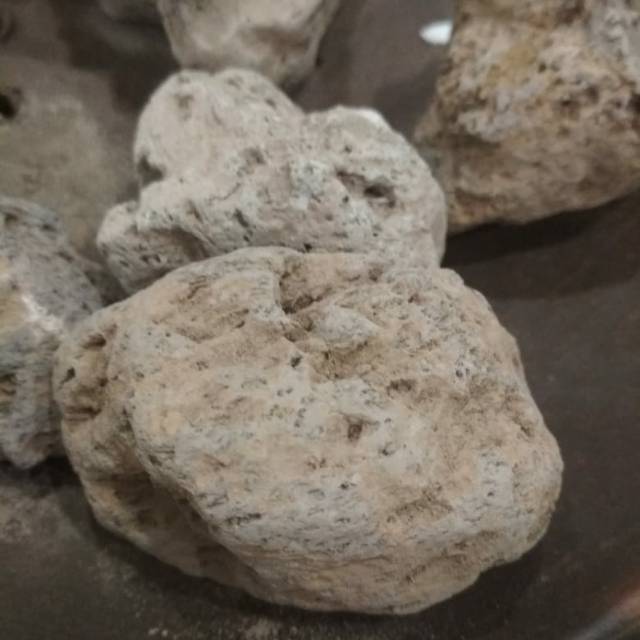 Batu apung
