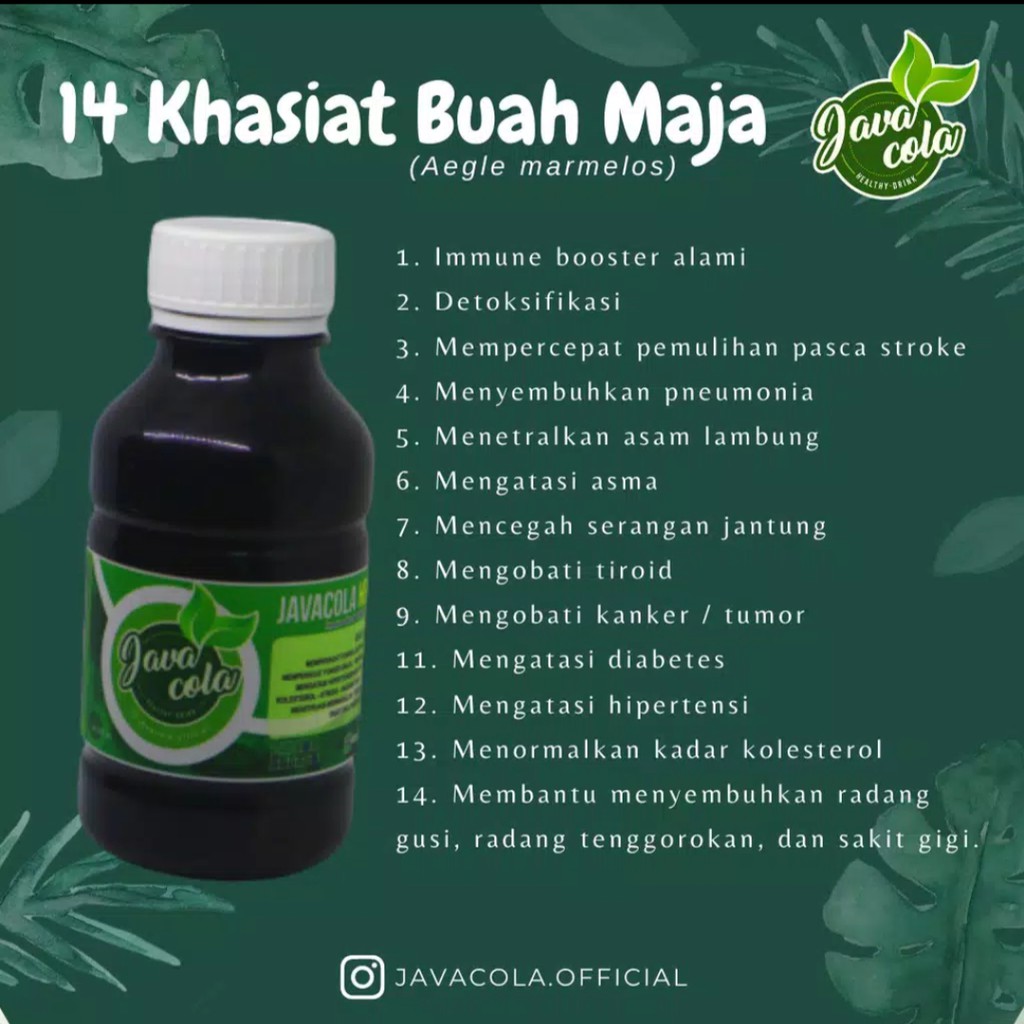 

JAVACOLA HEALTHY DRINK/MINUMAN TRADISIONAL/BUAH MAJA