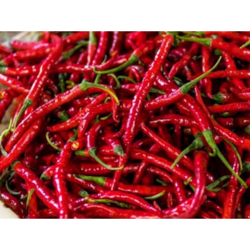 

Cabe Merah 100, 250,500 gr