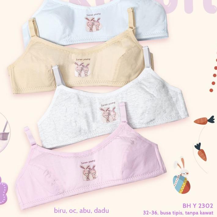 ♦ bh bra step 2 sorex young 2301 2302 2303 2304 miniset remaja ➭