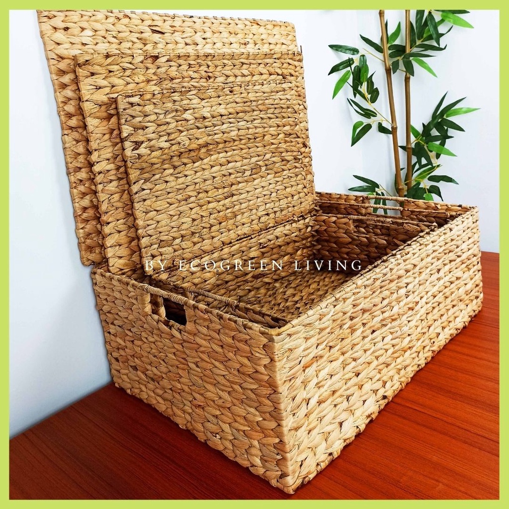 ECOGEEN LIVING BOX RECTANGLE ECENG TUTUP UKURAN BESAR (Dengan rangka besi di dalamnya)