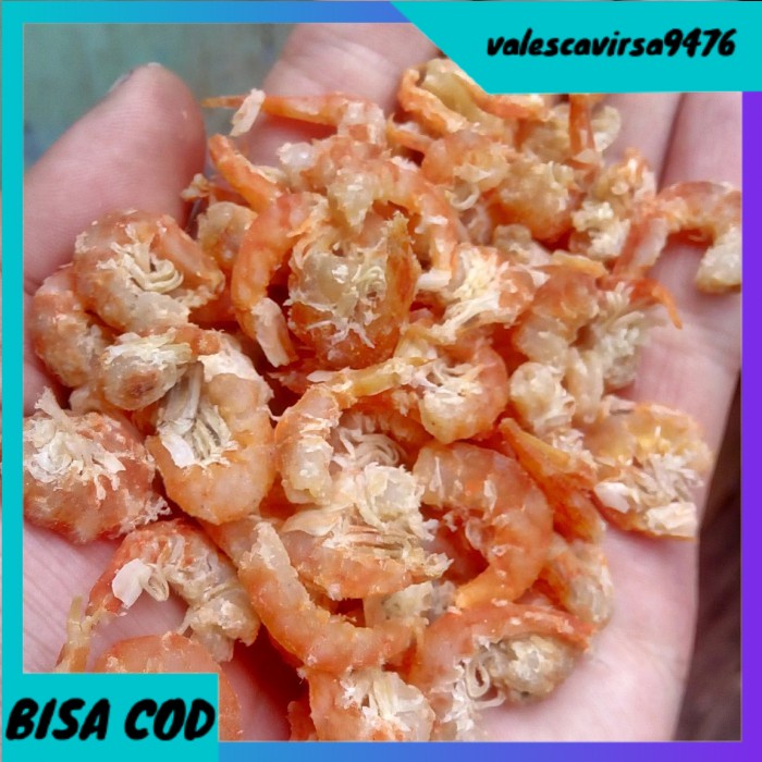 

⭐BISA COD⭐ hebi/ebi kalimantan/Pontianak super - Orange