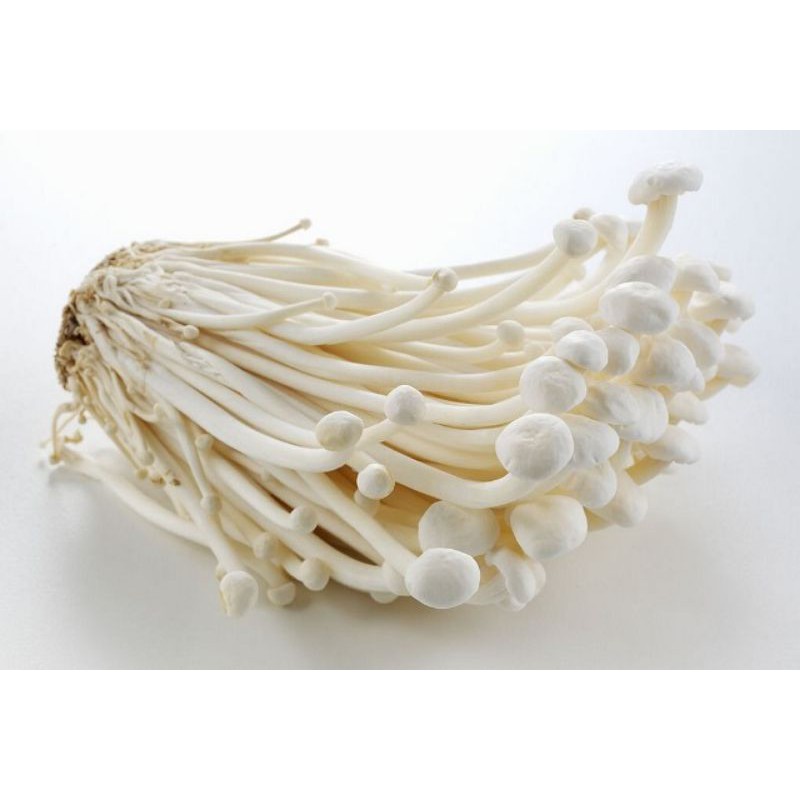 

Jamur Enoki 1 pack