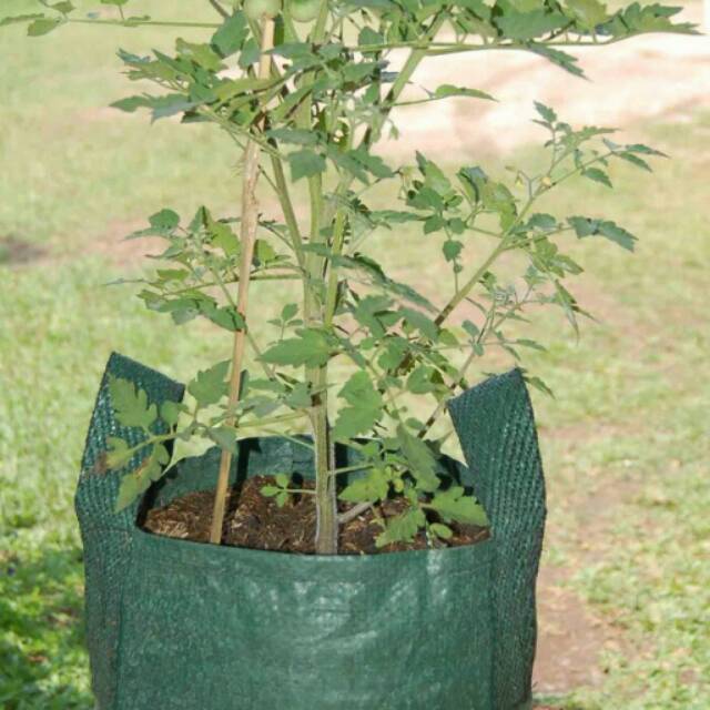 Planter Bag 15 Liter