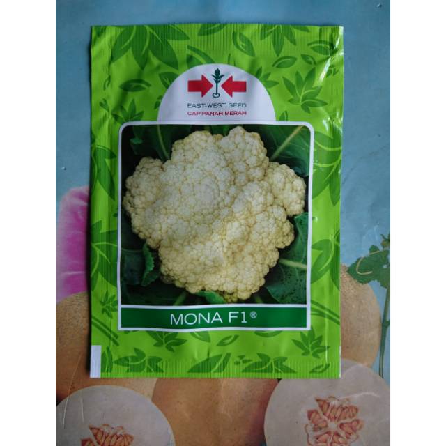 Benih Bibit Kol Bunga Dataran Rendah MONA F1 10gr