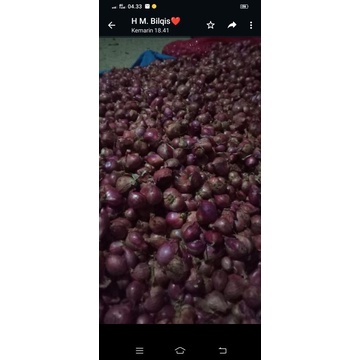 

bawang merah