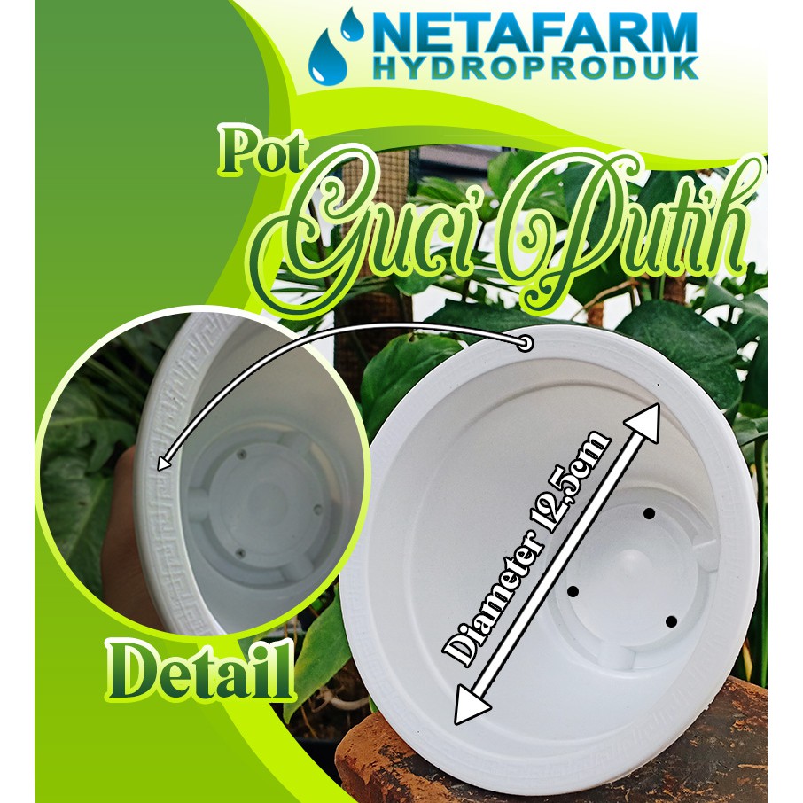 POT BUNGA / Tanaman Hias - POT Guci Putih D - 12,5 cm