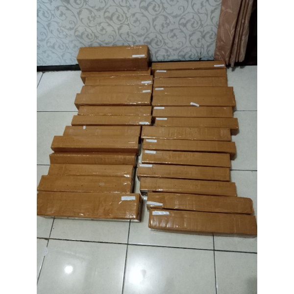 Bibit Garbera 1 paket