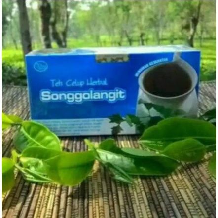 Obat herbal ampuh mengobati asam urat rematik nyeri sendi pegal linu dengan teh songgolangit alami asli 100% herbal