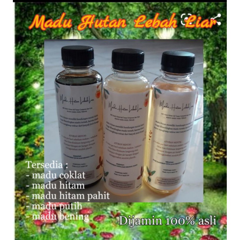 

Madu Hutan Lebah Liar