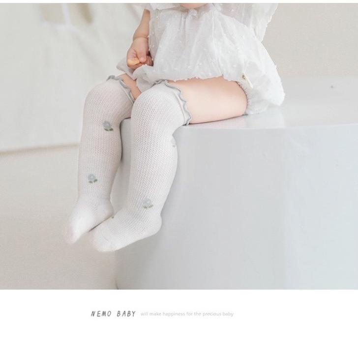 Baru Terkini kaos kaki anak bayi sora socks