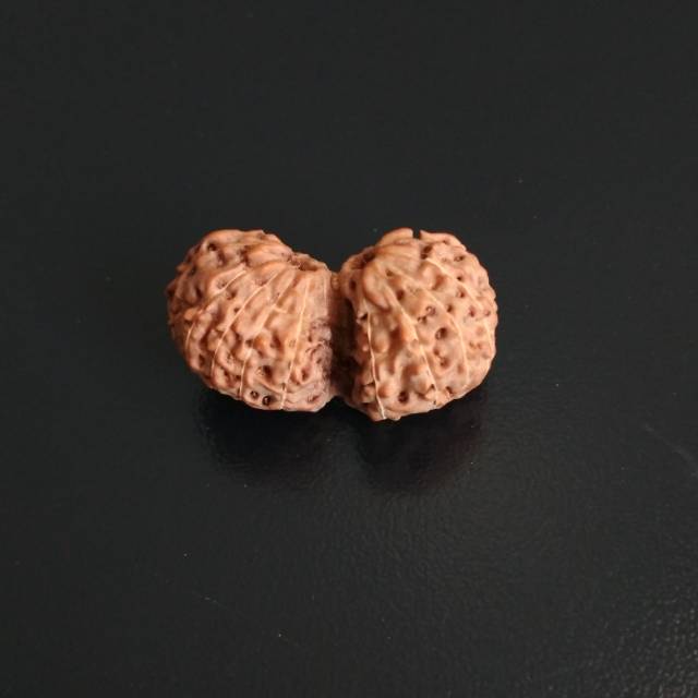 Liontin Genitri Gauri Shankar Mukhi 18 Jenitri 18 Mukhi Rudraksha