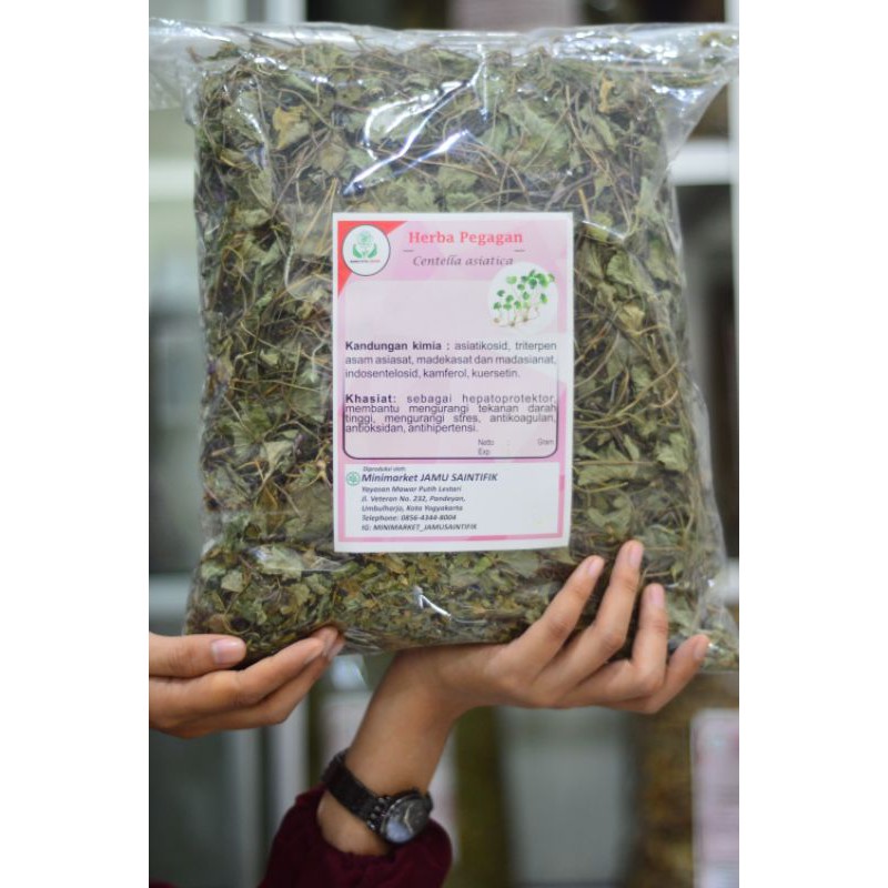 

Herba Pegagan Kering Premium