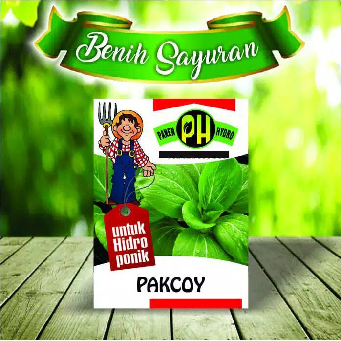 BENIH HIDROPONIK BENIH PAKCOY MURAH