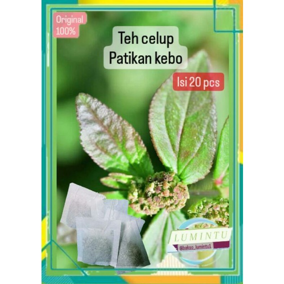 

Teh patikan kebo ,teh celup isi 20 pcs ,teh herbal , original , teh siap seduh , daun herbal , patikan , patikmas ,kayu , akar , daun , benih , bibit , biji , herbal , diet , aman , alami , original , jamu , obat , secang serut , perawatan , apoteker