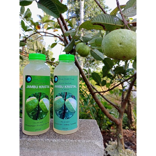 

Jambu Kristal Botol almond 250 ml