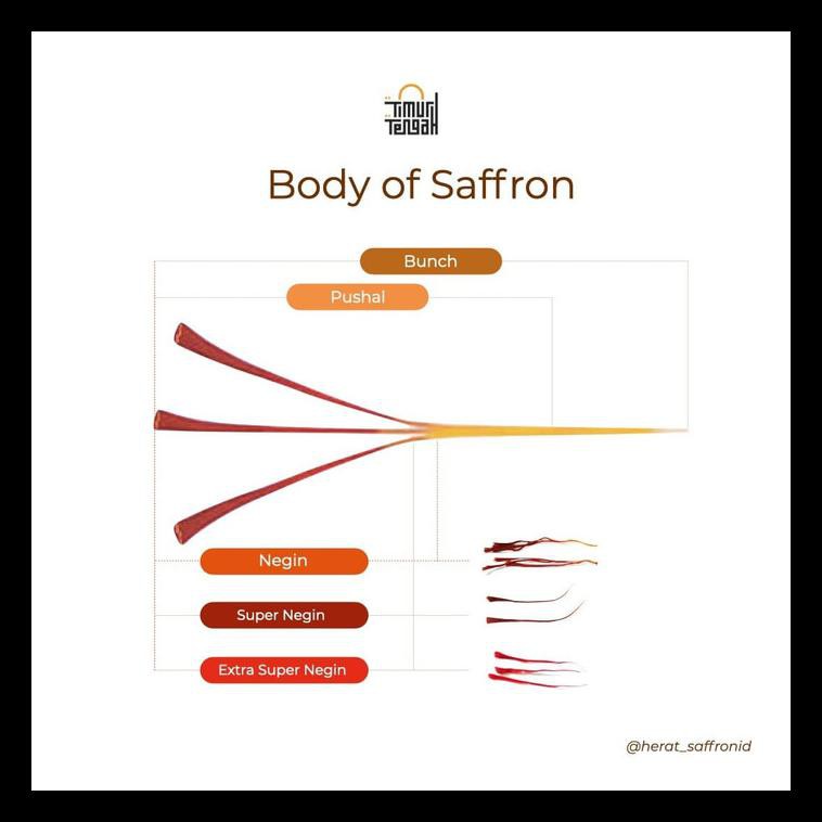 

Sale Saffron Timur Tengah Pure Extra Super Negin 1 Gr Premium Original