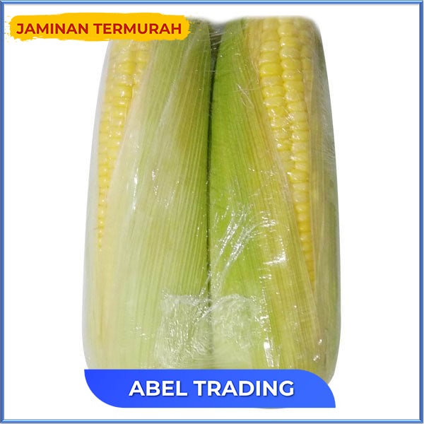 

JAGUNG MANIS KULIT 890 GR