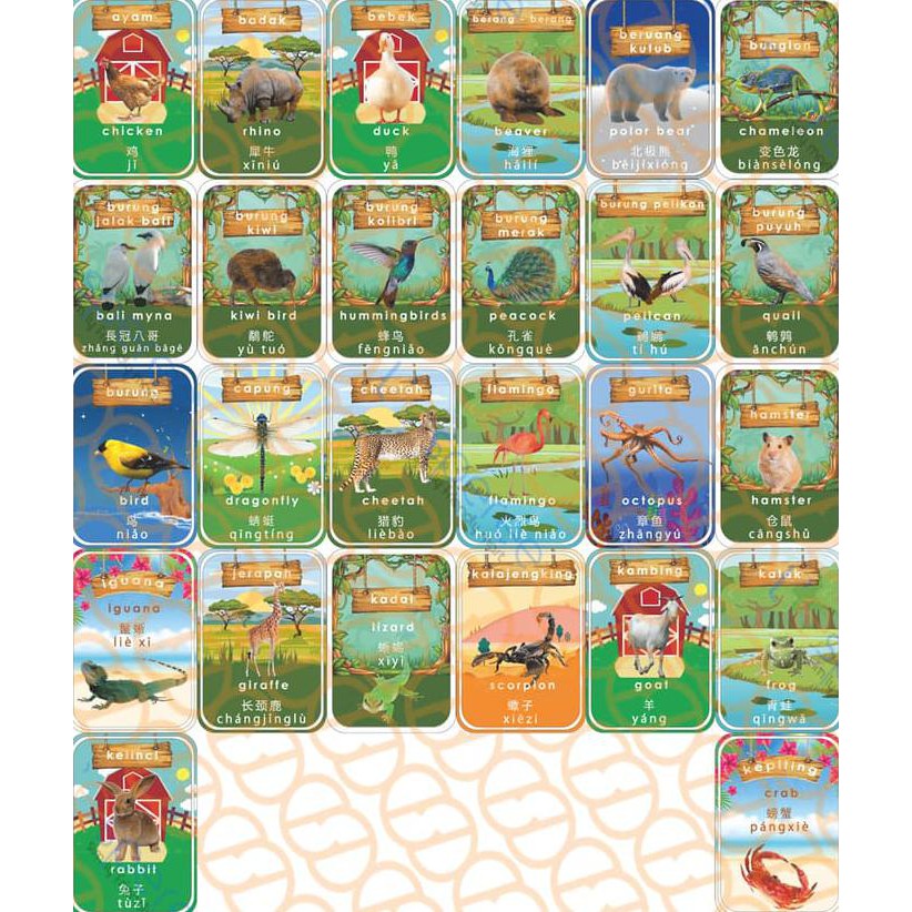 Jual New Produk Kartu Belajar Hewan Gambar Asli / Flash Cards Animal