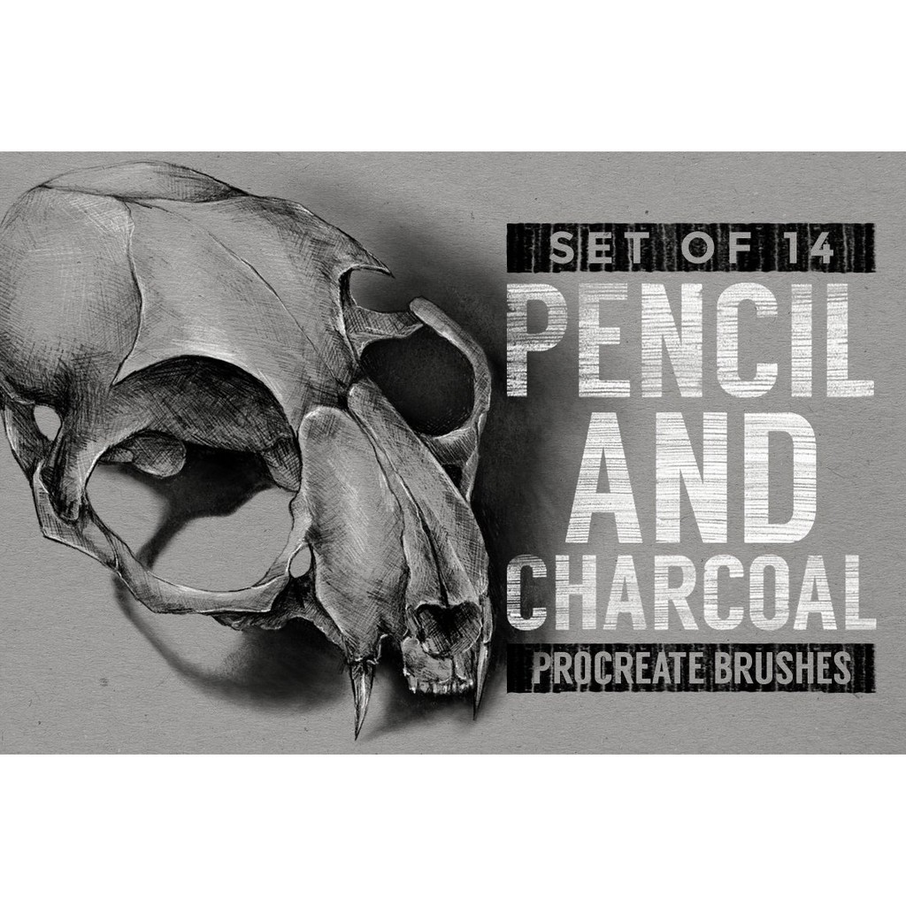 Procreate Brush - Pencil &amp; Charcoal Procreate Brushes