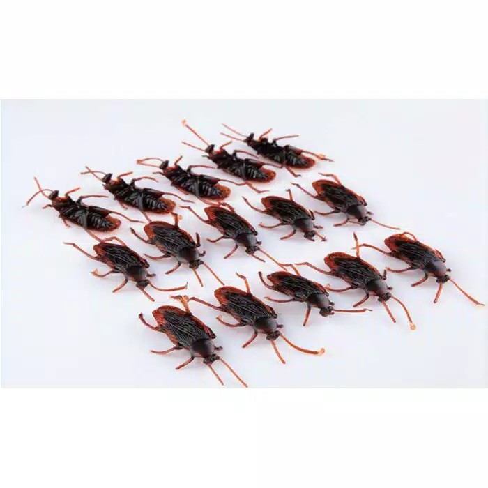 Kecoa Palsu Kecoak Mainan Mirip Asli untuk prank cockroach Toys gag