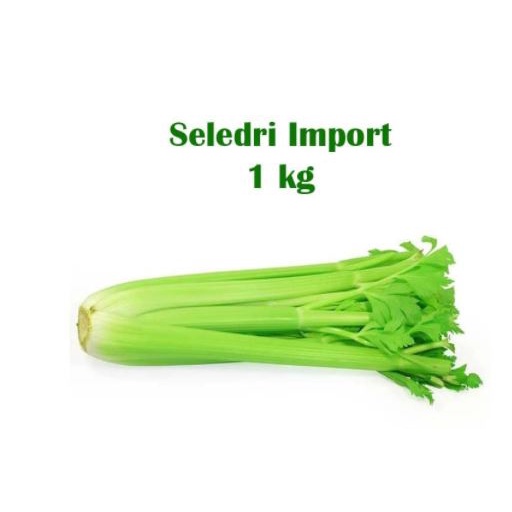 Seledri Import / Celery Stick 1kg