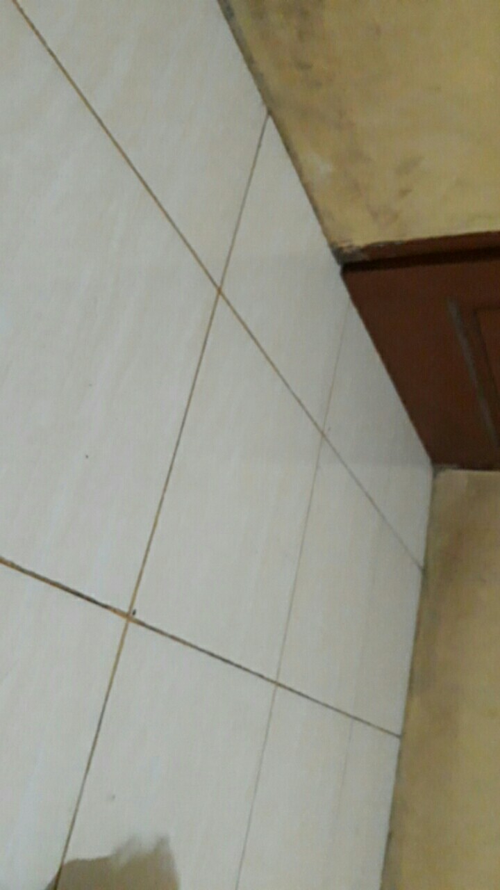 Cetakan Kue/puding No.803