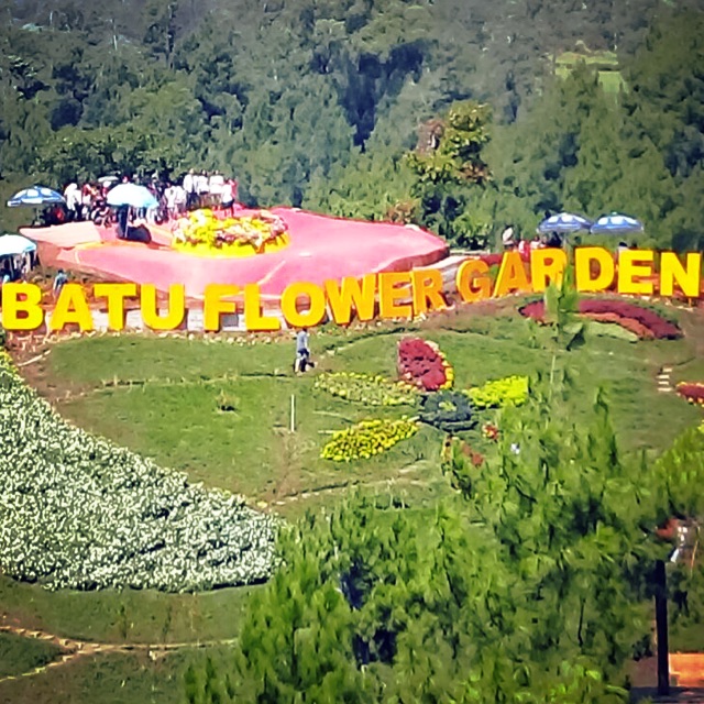 zen_var