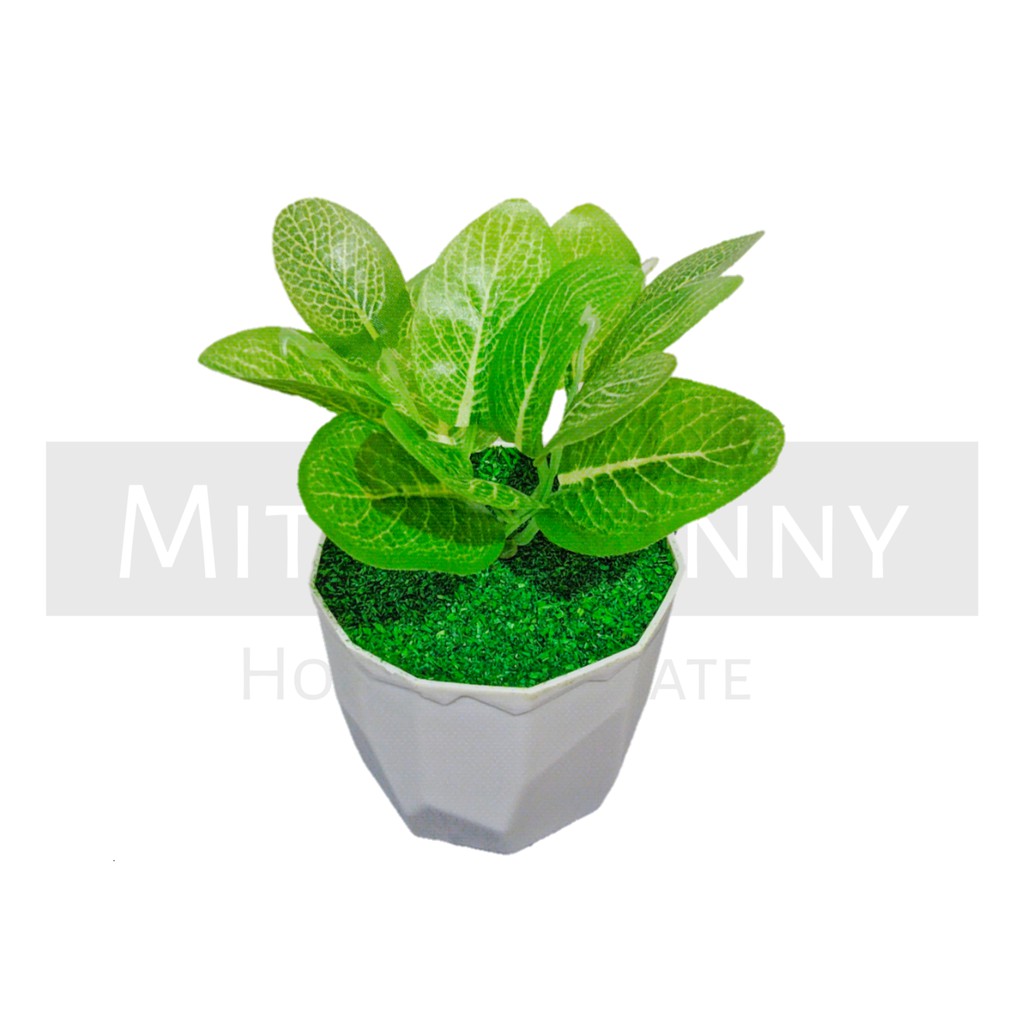 TANAMAN BUNGA ARTIFICIAL BUNGA HIAS DEKORASI HIASAN RUMAH BUNGA PLASTIK MURAH BUNGA AGLONEMA MINI-KD-003