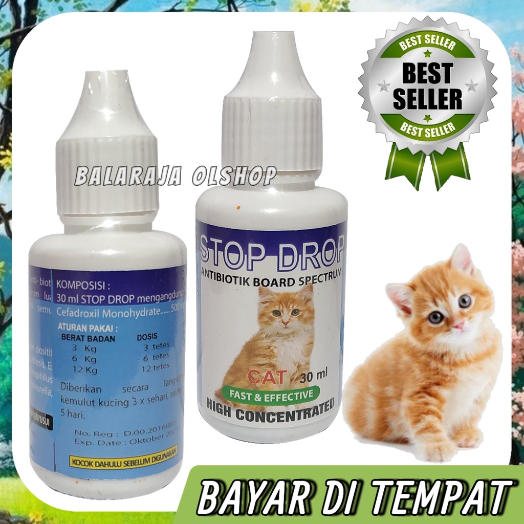 Antibiotik Kucing Obat Demam Flu Batuk Diare Infeksi Pencernaan Dan Gejala Virus Kucing Stop Drop