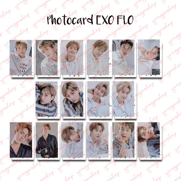 [READY / SET] SET FLO X EXCK PHOTOCARD FAN MADE UNOFFICIAL YANGPASHOP SEHUN CHANYEOL BAEKHYUN