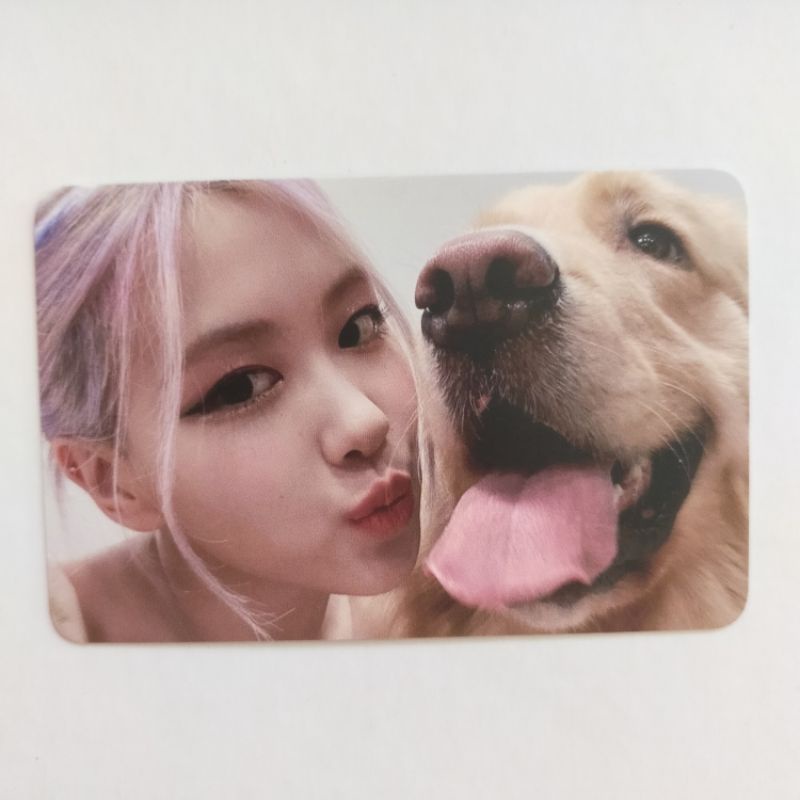 PHOTOCARD OFFICIAL KTOWN4U BENEFIT ROSE BP THE ALBUM BLACKPINK BENE