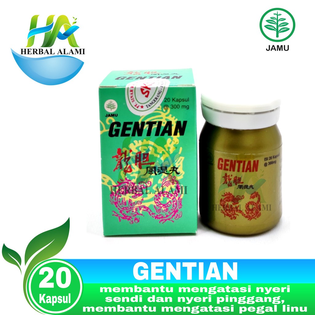 Gentian - Obat Rematik,pegal,Nyeri sendi