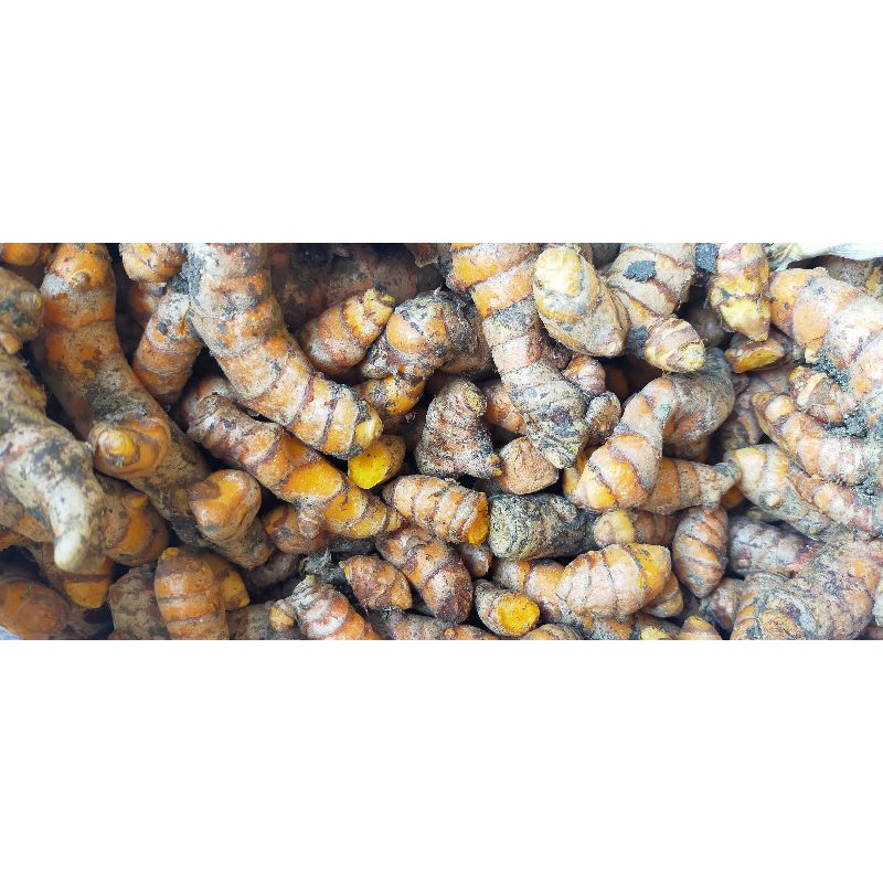

kunyit segar 100 gram kunir segar