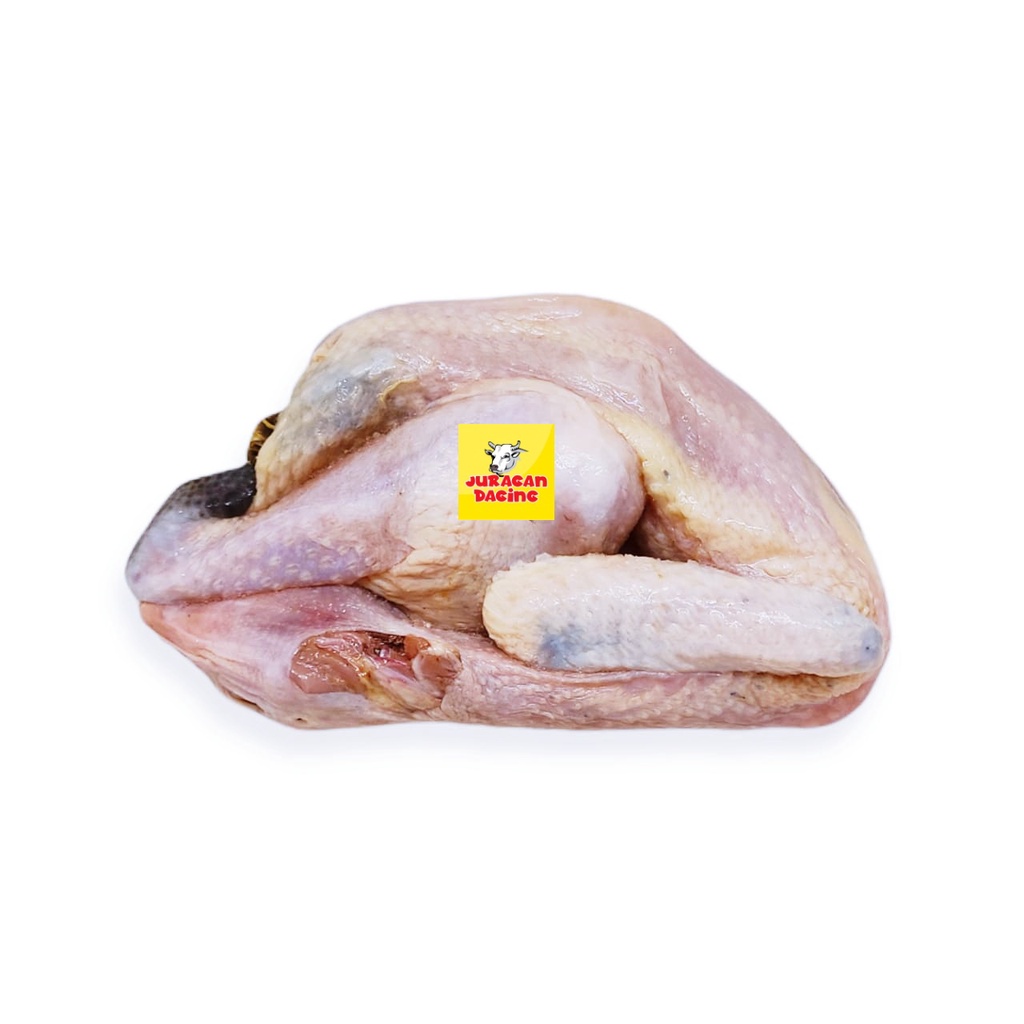 

Ayam ULU Kampung 500 - 600 gram