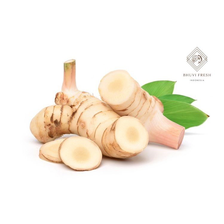 

Lengkuas 1 Kg Fresh