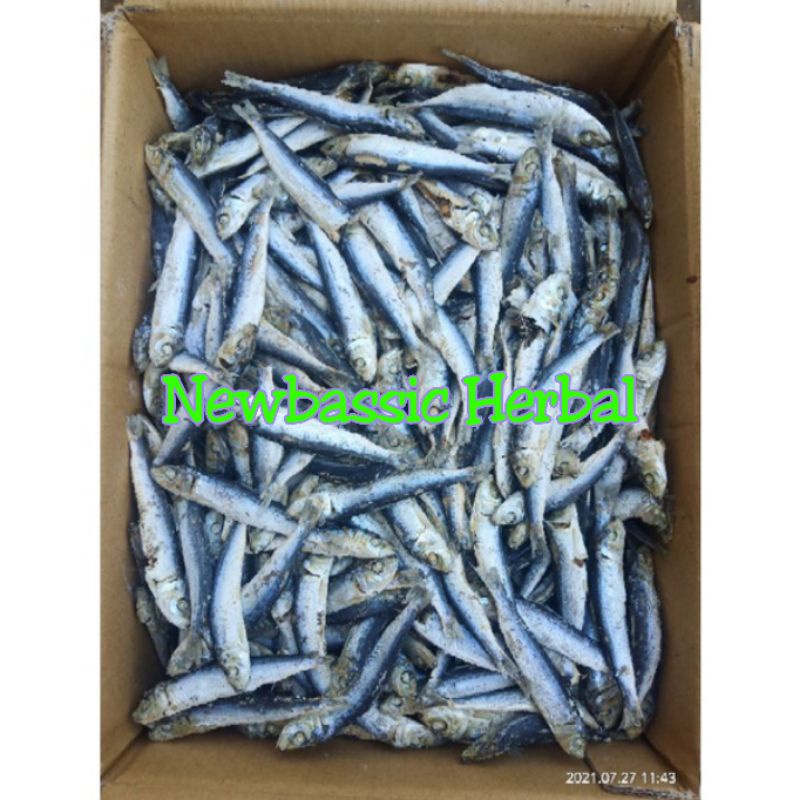 

ikan asin lesi rebus lampung paket hemat 500 gram