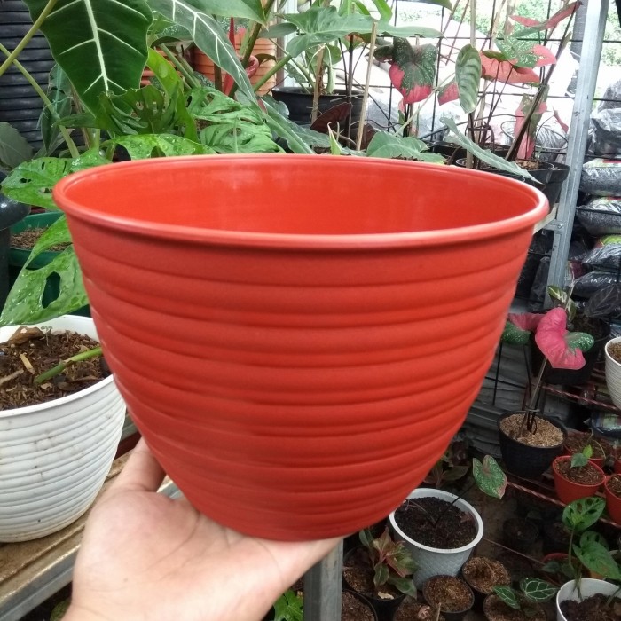 Pot Bunga Tawon 21 Coklat / Pot Tanaman Plastik