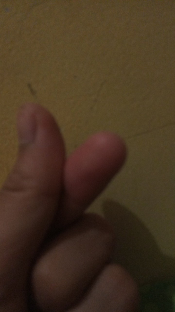 Scoop Ice / Scoop Ice Batu / Ice Cube Stainless