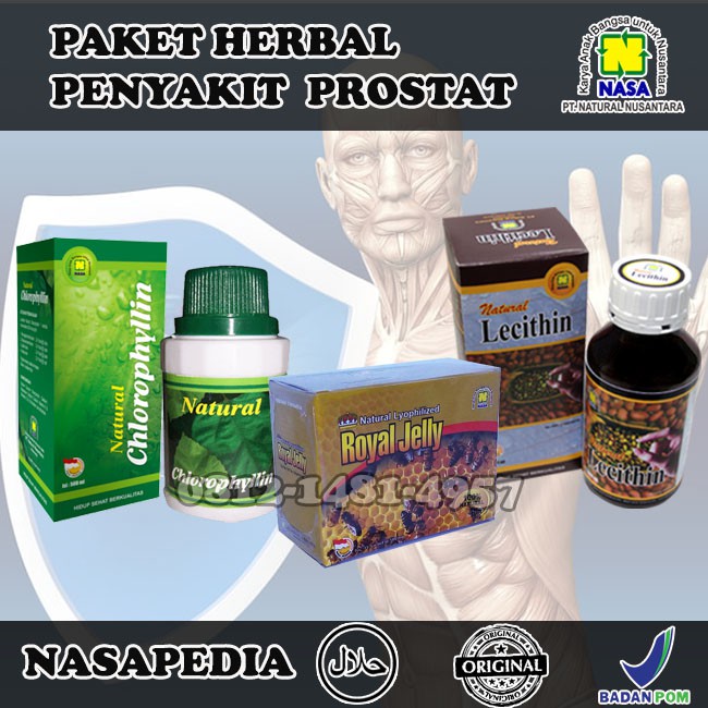 Paket Prostat Nasa Nchlo Royal Jelly Lechitin Shopee Indonesia